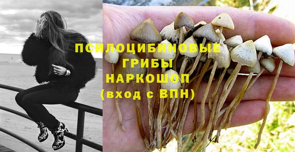 крисы Галич