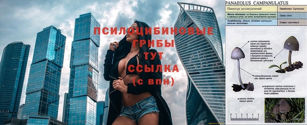 ALPHA-PVP Нязепетровск