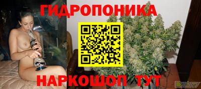 прущая мука Кингисепп