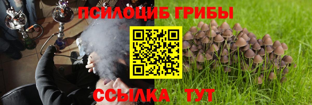 Псилоцибиновые грибы Psilocybine cubensis Удомля