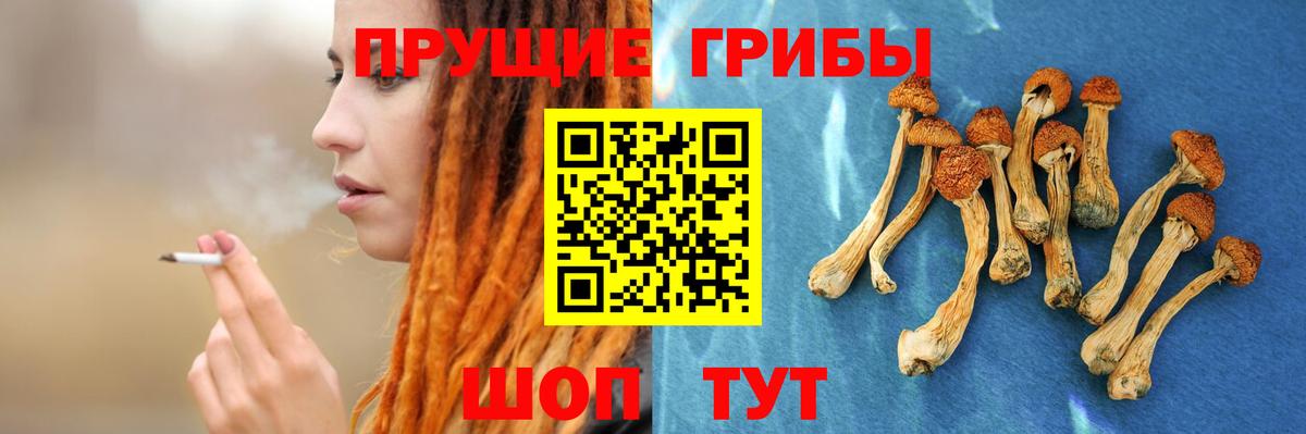 Псилоцибиновые грибы Psilocybine cubensis  Вход с VPN  хочу   Удомля 